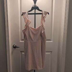 BCBG Soft Pink Parisian Dress